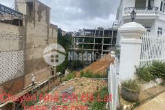 Chu ngôp cân ban gâp đât view đep hoang hoa tham p10 đa lat