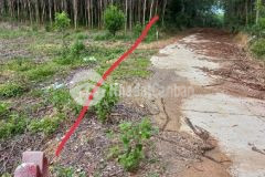 Bán đất xã khánh bình cắt lỗ 1 lô duy nhất chỉ 550tr cho hơn 2000m2 tại khánh vĩnh