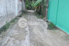 Bán nhà đất nghỉ dưỡng view 2 mặt tiền sông ấp long mỹ, xã phước thạnh, tp mỹ tho.