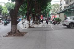 248 tỷ mặt phố trần phú 520m2 mặt tiền 17m ô tô 2 chiều kinh doanh đẳng cấp quận ba đình