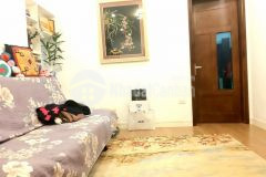 Bán nhà tập thể giả phóng, hoàng mai, 50m2, chỉ 1.97 tỷ.