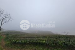 Bán đất nền mộc châu 961m2 thuộc tiểu khu chiềng đi sổ đỏ rõ ràng