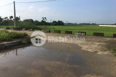 Bán đất đấu giá thôn xuân trạch xã xuân canh gần vinhome cổ loa