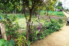 Dưới 2 tỷ có ngay lô đất dt 545m2 thích hợp làm nhà vườn tại yên trung thạch thất lh0866990503