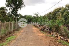 Cần bán vườn trái cây 480 triệu hơn ngàn mét