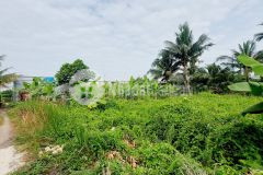 Bán đất thổ cư hẻm xe hơi 500m2 an phú đông 9 quận 12 giá 13.9 tỷ