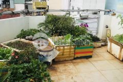 Lô góc 40m2 4lầu 3m5x11m5 tân phước phường06 quận10 6tỷ2