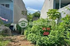 Bán gấp lô đất ngay mặt tiền đ.ql50. giá 425 triệu