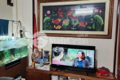 Bán nhà ngõ trại cá, kinh doanh, sđcc, 45m2, 5 tầng chỉ 4.49 tỷ.