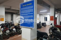 Chủ cần bán gấp căn hộ dịch vụ trần thái tông 6 tầng 16 phòng cho thuê dòng tiền khủng.