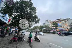 Bán nhà phố hào nam, 141m2, mt 8.2m, 52.5 tỷ