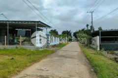 Bán đất diên đồng rộng rãi đầu tư hoặc làm vườn