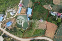 Bán đất nền mộc châu,thị trấn nông trường,6000m2 sổ đỏ rõ ràng