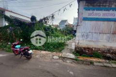 Ban đât măt tiên đương tô ngoc vân p2 đa lat