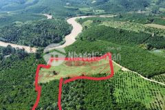 Đất vườn cảnh đồi đẹp xã lộc nga, tp bảo lộc, lâm đồng giá 1 tỷ 250tr 1 sào