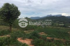 Bán đất nền mộc châu,xã chiềng sơn 3179m2 sổ sách rõ ràng