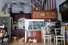 Bán nhà hxh quang trung gò vấp 40m2 shr chỉ 2.35 tỷ tl 0354284763