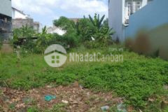 Bán gấp lô đất ngay đ.ql50 gần chợ phú lạc phong phú