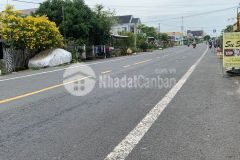 Cần bán gấp lô đất mt ql50 trước tết