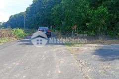 Bán gấp 24ha đất bông trang, xuyên mộc, bà rịa vũng tàu, đường xe container, giá 210 tỷ.