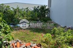 Bán đất đa phước bình chánh full thổ