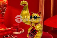 Bán nền 81m² đường b5 kdc phú an, cái răng, tp. cần thơ