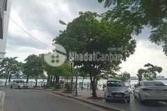 Bán nhà phố quảng khánh tây hồ, 72m2, 6 tầng, 32 tỷ