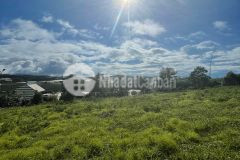 Ban lô 2 măt tiên view săn mây đương ô tô xuân trương câu đât đa lat