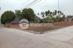 Gần tết em cần thanh khoản gâp lô đất gần chợ gò kim động giá chỉ hơn 300tr