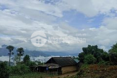 Bán đất nền y tý sapa2,600m2 thuộc thôn phan cán sử xã y tý