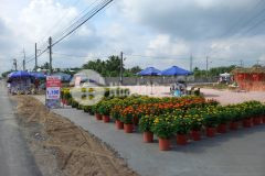 Đất thổ cư mặt tiền ql1a liền kề tp mỹ tho chợ tân hiệp gía chỉ 990trnền