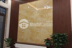 Hoàng ngân dân an sinh cư, dân trí cao ngõ thẳng, rộng rãi 32m2 giá 4.1tỷ.