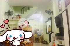 Xách vali đến đón tết luôn nhà nhân hòa full nội thất, 30m ra phố 50m2 giá 6tỷ5.