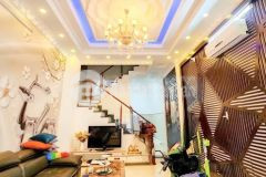 Nhà phố tân cổ điển 2 lầu st hxh lý phục man, p.bình thuận, quận 7