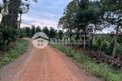 Đất cư mgar,1,2 sào,đường 8m, gần nhựa, kdl, sẵn tiêu cà phê, chỉ 179tr