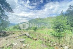 Bán đất nền khu du lịch quốc gia y tý sapa2,5500m2 có thổ cư