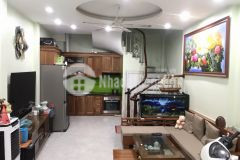 Bán nhà phố pháo đài láng, đống đa nhà đẹp ở luôn, ngõ thoáng, dt 35m2 x 5t, mt 4m, 4.6 tỷ