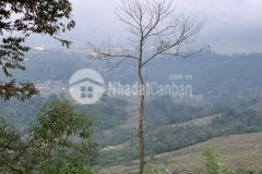 Bán đất nền khu du lịch quốc gia y tý sapa2,820m2 thôn sín chải