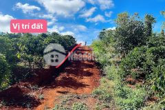 Đất cư mgar,10x50m, đường đá mi sát bê tông, trên đất trồng ca fe,trong kdc, gần kdl buôn wing,139 t