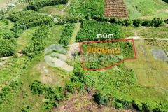 Bán đất làm vườn khánh đông khánh vĩnh giá rẻ