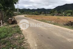 Bán đất khánh bình khánh vĩnh giá rẻ mặt tiền đường liên thôn