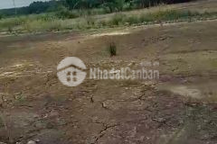 Bán đất an thới đông, cần giờ 47 x 68 3350m2, giá 10 tỷ