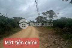 Đất krong năng,đường oto, tc 60m2 sẵn, kdc, view sông, đang trồng cafe tiêu, sẵn sổ, từ 190tr