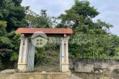 Cần bán khu đất đồi chính chủ phù hợp làm khu nghỉ dưỡng cuối tuần hoặc làm home stay