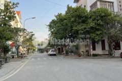 Bán đất mđ trần nguyên đán, ph thanh bình, tp hd, 65m2, mt 5m, đường hè 17.5m