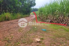 Bán đất diên xuân giá rẻ phù hợp làm vườn hoặc đầu tư