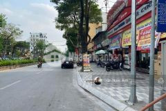 Chính chủ bán mảnh đất vườn đào lạc long quân tây hồ. lô góc siêu đẹp. dt 252m2