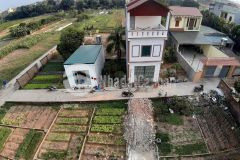 Ban lô đât đep 41m² đương ô tô vao ơ đăng xa.