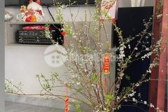 Ban nha đep mơi xây đương ô tô tai gia 2 ty 5 van thanh p5 đa lat