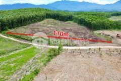 Bán đất khánh bình khánh vĩnh rộng rãi lập vườn